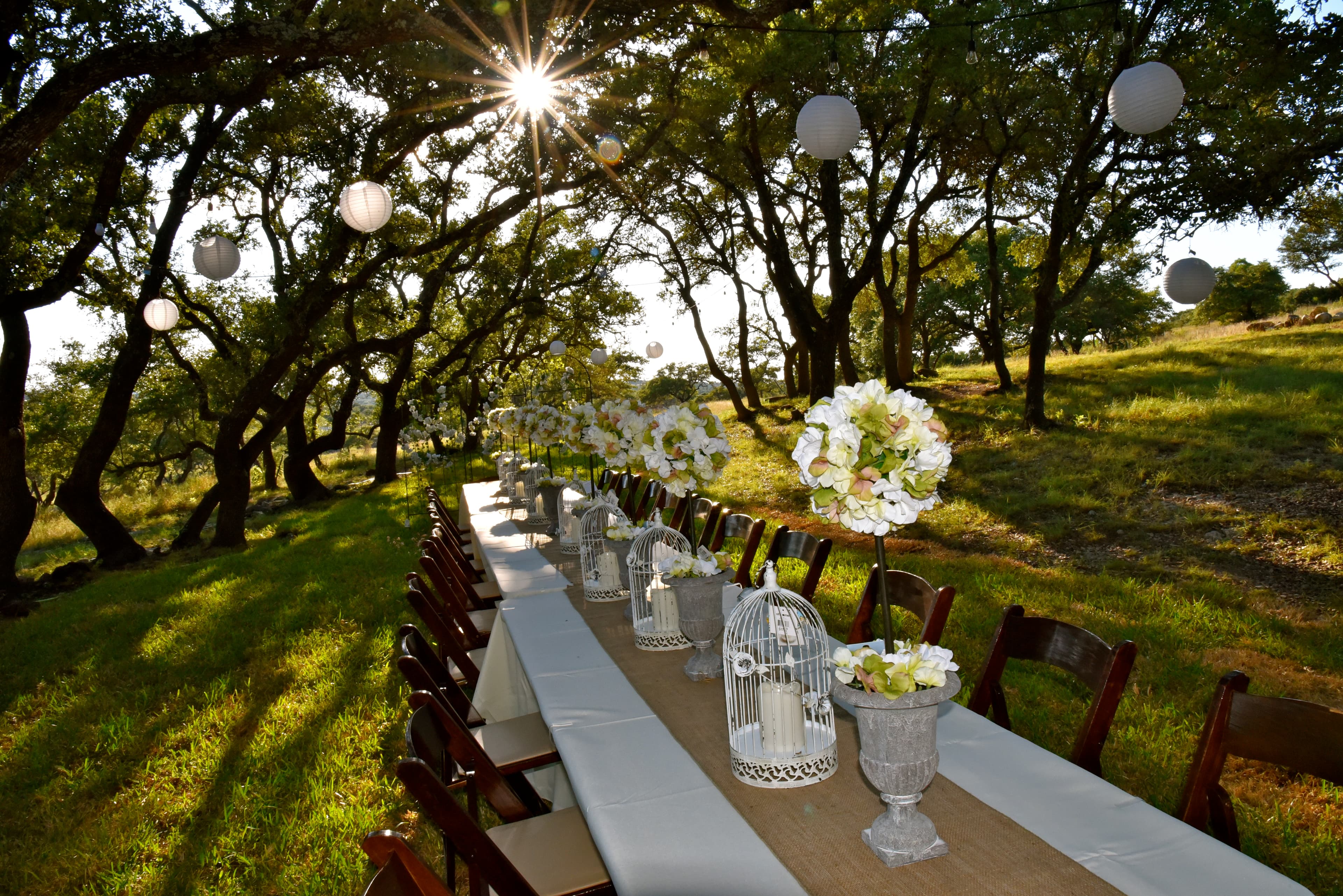 Long reception table set under the live oaks at The Ranch at Bell Springs